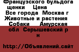 Французского бульдога щенки  › Цена ­ 35 000 - Все города, Москва г. Животные и растения » Собаки   . Амурская обл.,Серышевский р-н